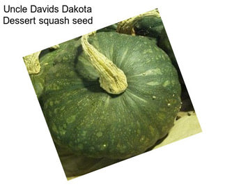 Uncle Davids Dakota Dessert squash seed