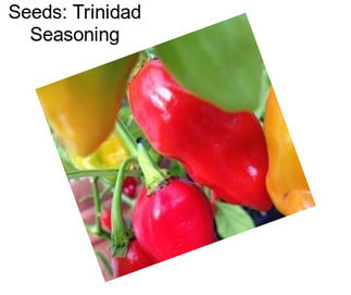 Seeds: Trinidad Seasoning
