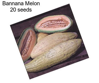 Bannana Melon 20 seeds