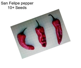 San Felipe pepper 10+ Seeds