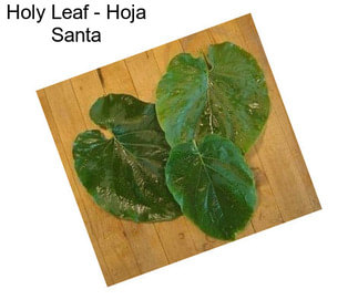 Holy Leaf - Hoja Santa