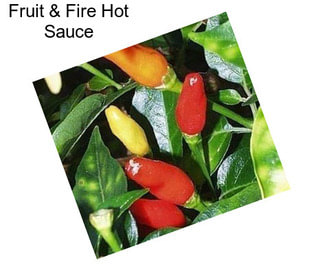 Fruit & Fire Hot Sauce