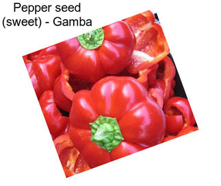 Pepper seed (sweet) - Gamba