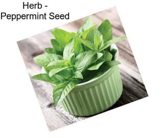 Herb - Peppermint Seed