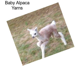 Baby Alpaca Yarns