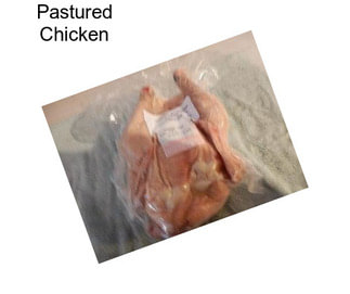 Pastured Chicken