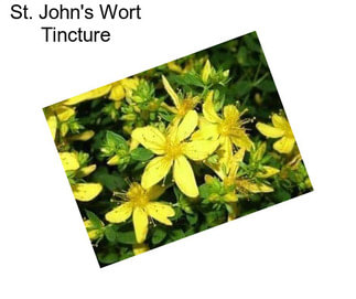 St. John\'s Wort Tincture