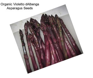 Organic Violetto dAlbenga Asparagus Seeds