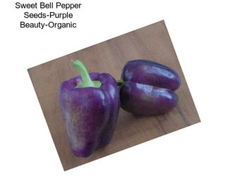 Sweet Bell Pepper Seeds-Purple Beauty-Organic
