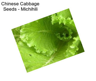 Chinese Cabbage Seeds - Michihili