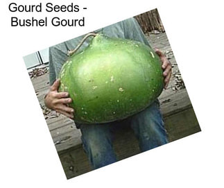 Gourd Seeds - Bushel Gourd
