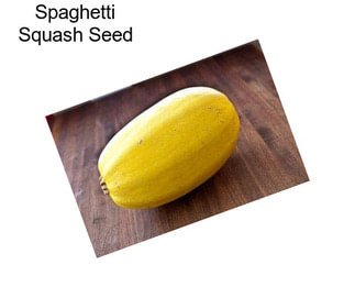 Spaghetti Squash Seed