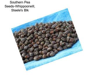 Southern Pea Seeds-Whippoorwill, Steele\'s Blk