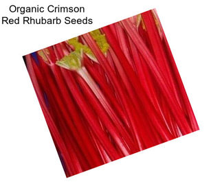 Organic Crimson Red Rhubarb Seeds