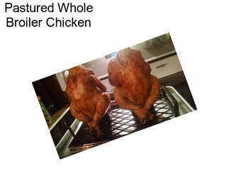 Pastured Whole Broiler Chicken