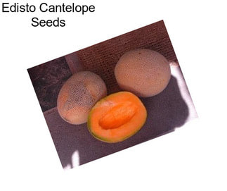 Edisto Cantelope Seeds