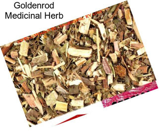 Goldenrod Medicinal Herb