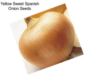 Yellow Sweet Spanish Onion Seeds