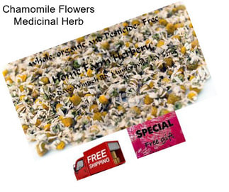 Chamomile Flowers Medicinal Herb