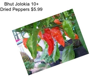 Bhut Jolokia 10+ Dried Peppers $5.99