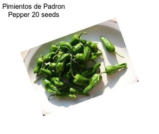 Pimientos de Padron Pepper 20 seeds