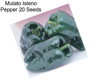 Mulato Isleno Pepper 20 Seeds