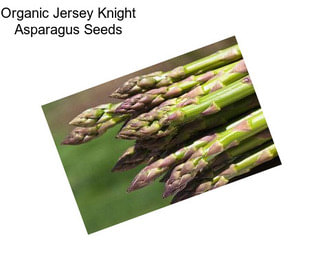 Organic Jersey Knight Asparagus Seeds