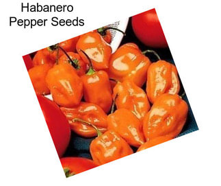 Habanero Pepper Seeds