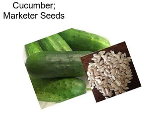 Cucumber; Marketer Seeds