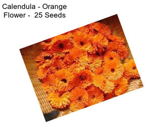 Calendula - Orange Flower -  25 Seeds