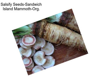 Salsify Seeds-Sandwich Island Mammoth-Org.