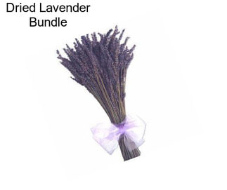 Dried Lavender Bundle