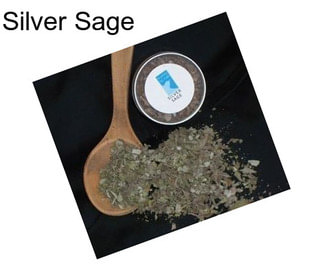 Silver Sage