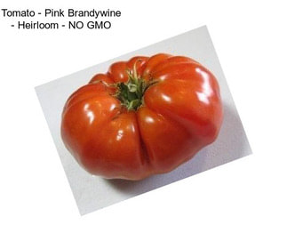 Tomato - Pink Brandywine - Heirloom - NO GMO