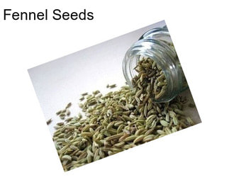 Fennel Seeds