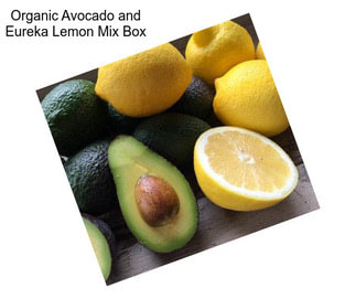 Organic Avocado and Eureka Lemon Mix Box