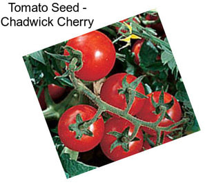 Tomato Seed - Chadwick Cherry