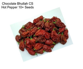 Chocolate Bhutlah CS Hot Pepper 10+ Seeds