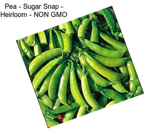 Pea - Sugar Snap - Heirloom - NON GMO