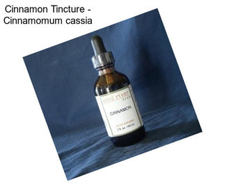 Cinnamon Tincture - Cinnamomum cassia