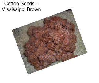 Cotton Seeds - Mississippi Brown