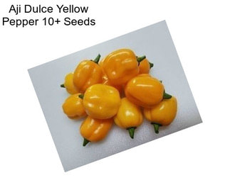 Aji Dulce Yellow Pepper 10+ Seeds