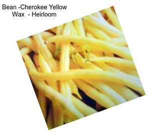 Bean -Cherokee Yellow Wax  - Heirloom