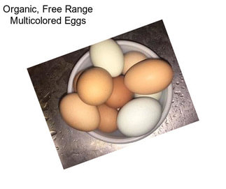 Organic, Free Range Multicolored Eggs