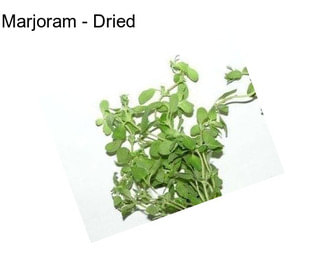 Marjoram - Dried