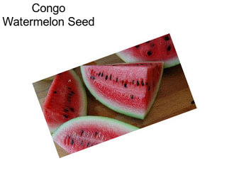 Congo Watermelon Seed