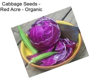 Cabbage Seeds - Red Acre - Organic