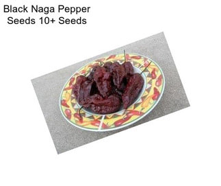 Black Naga Pepper Seeds 10+ Seeds