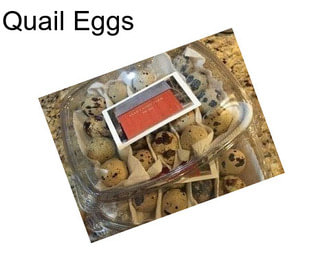 Quail Eggs