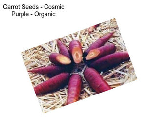 Carrot Seeds - Cosmic Purple - Organic